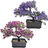 Fycooler Bonsai Kunstpflanze Künstlicher -Baum - Japanische Naturgetreue - Plastik Kunstpflanze für Büro/Fensterbank/Hof Tischdeko Deko-2Pcs