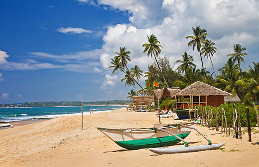 Urlaub auf Sri Lanka - Die Perle im Indischen Ozean